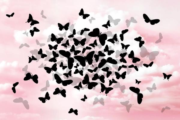 EBCT | Butterflies in the sky