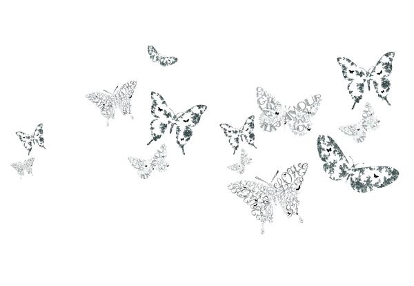 EBCT | Délicats Butterflies sur fond blanc