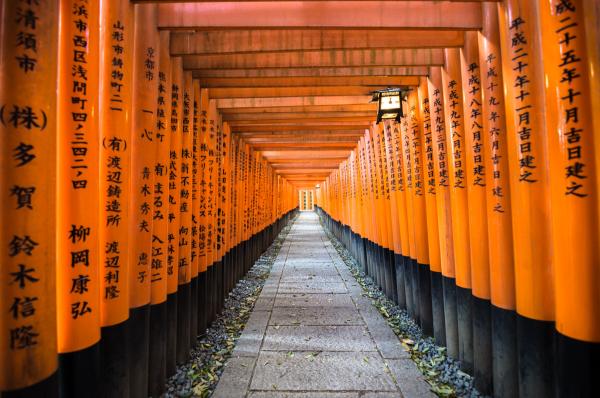 Fushimi Inari Shrine, Kyoto | N.Jackson