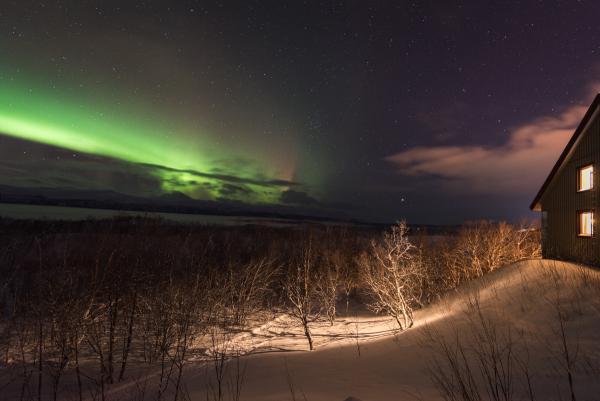 Watching the aurora from home | N.Jackson