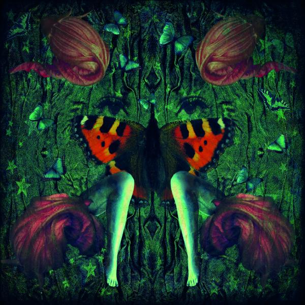 Butterfly With Legs | S.Cousin