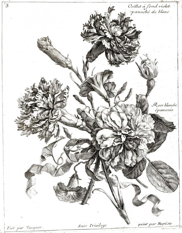 Fleurs et merveilles | Alsace 1850