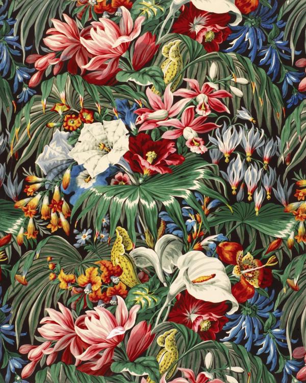 Fleurs et merveilles | Alsace 1850