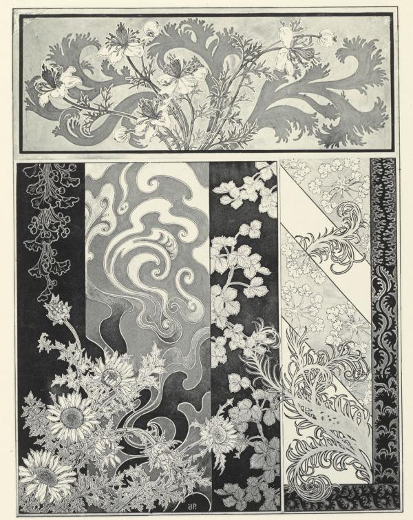 Florale | Lithographie 1905
