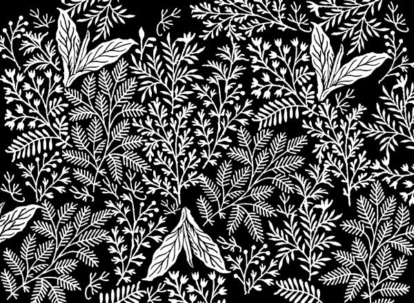 Végétale | Jouy-en-Josas 1780 - Blanc sur fond noir