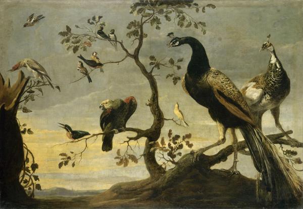 Les Animaux | Oiseaux sur des branches - XVIe