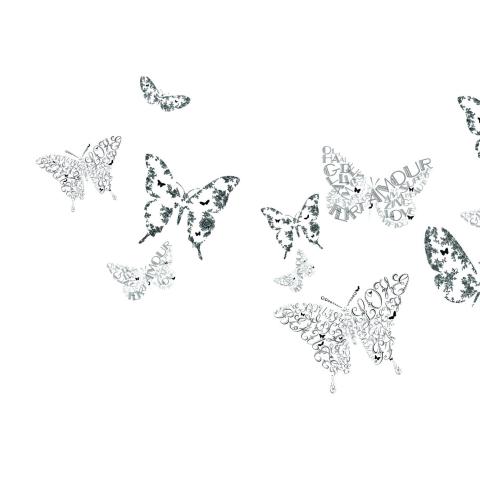 EBCT | Délicats Butterflies sur fond blanc