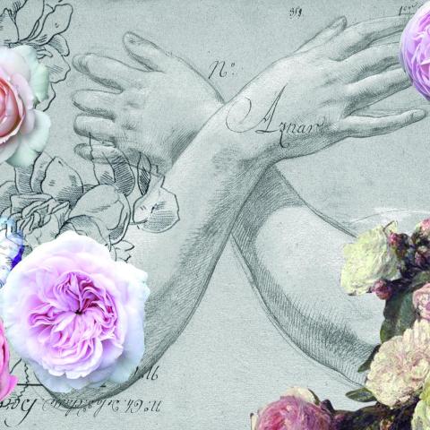 EBCT | Hands & Flowers