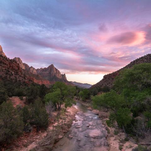 Beautiful sunset in Zion National Park | N.Jackson