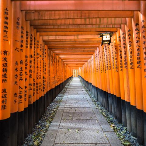 Fushimi Inari Shrine, Kyoto | N.Jackson