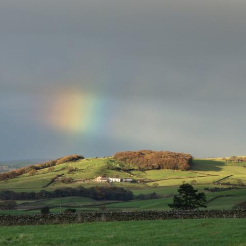 Lancashire rainbow | N.Jackson