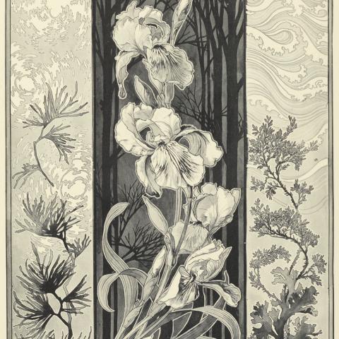 Art Nouveau | Lithographie 1905