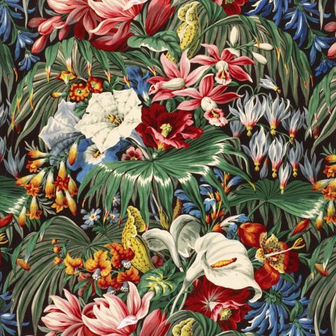 Fleurs et merveilles | Alsace 1850