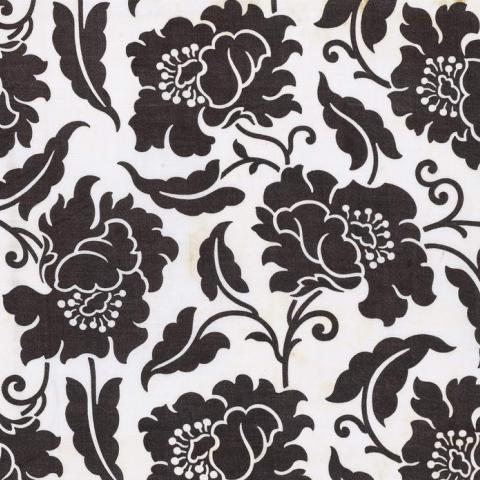 Fleurs Monochromes | Alsace 1898