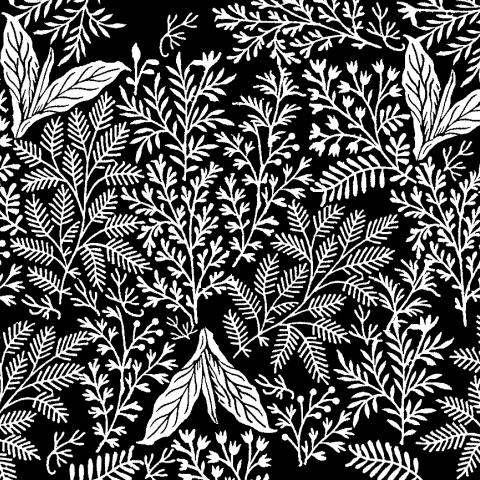 Végétale | Jouy-en-Josas 1780 - Blanc sur fond noir