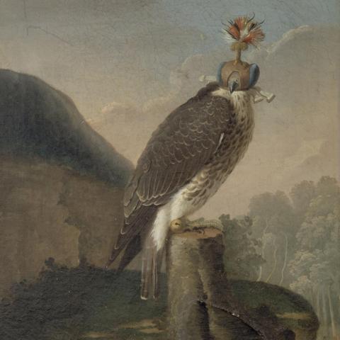 Les Animaux | Faucon chaperonné - XVIIe