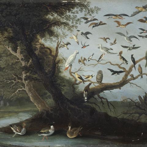 Les Animaux | L'Arbre aux oiseaux - XVIIe