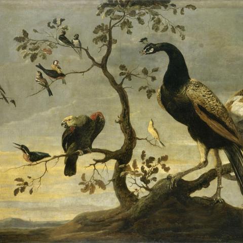 Les Animaux | Oiseaux sur des branches - XVIe