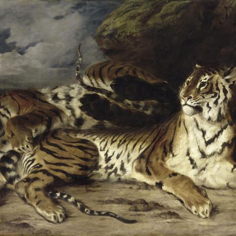 Les Animaux | Jeune tigre jouant avec sa mère - 1830