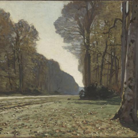 Les Panoramiques & Ambiances bucoliques | Le Pavé de Chailly (forêt de Fontainebleau) - XIXe