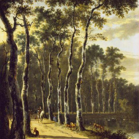 Les Panoramiques & Ambiances bucoliques | Allée d'un bois - 1675